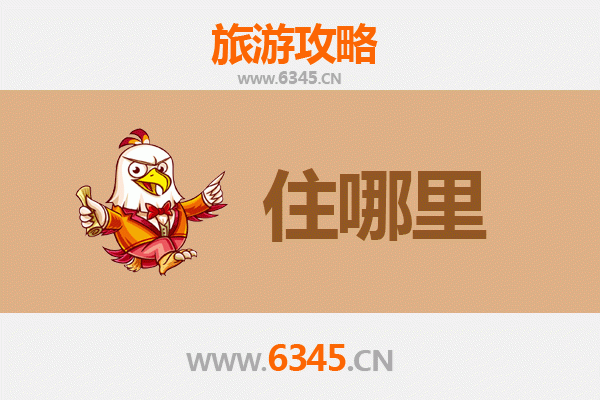 绵阳盐亭深度游：特色民宿全攻略与沉浸式旅行指南